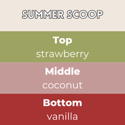 Summer Scoop Segment Wax Melt - Something Different Gift Shop