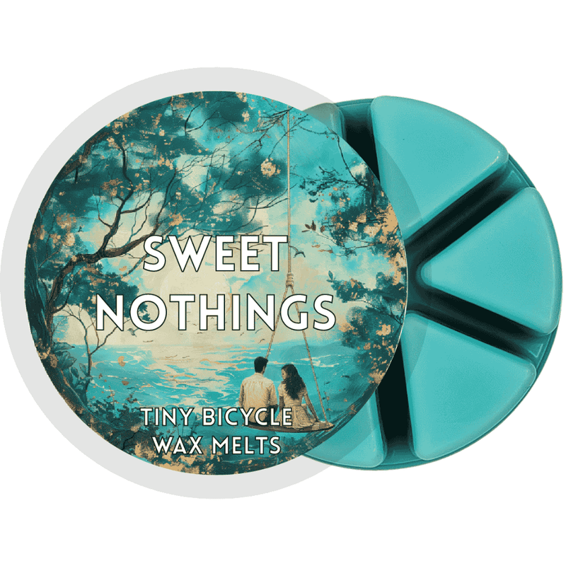 Sweet Nothings Segment Wax Melt - Something Different Gift Shop