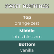 Sweet Nothings Segment Wax Melt - Something Different Gift Shop