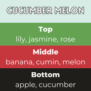 Tiny Bicycle Cucumber Melon Segment Wax Melt - Something Different Gift Shop