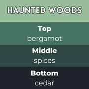 Tiny Bicycle Haunted Woods Segment Wax Melt - Something Different Gift Shop