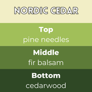 Tiny Bicycle Nordic Cedar Segment Wax Melt - Something Different Gift Shop