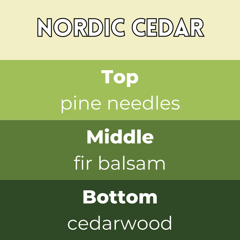 Tiny Bicycle Nordic Cedar Segment Wax Melt - Something Different Gift Shop
