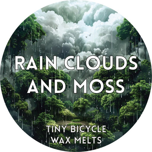 Tiny Bicycle Rain Clouds and Moss Segment Wax Melt - Something Different Gift Shop
