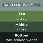 Tiny Bicycle Rain Clouds and Moss Segment Wax Melt - Something Different Gift Shop