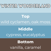 Tiny Bicycle Winter Wonderland Segment Wax Melt - Something Different Gift Shop