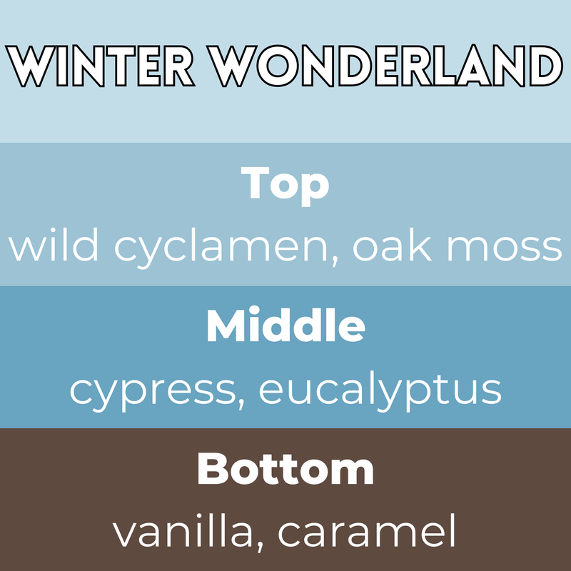 Tiny Bicycle Winter Wonderland Segment Wax Melt - Something Different Gift Shop