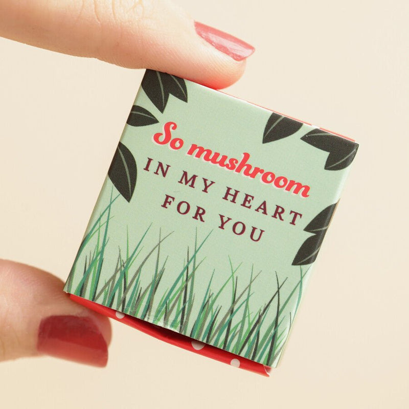 Tiny Matchbox Ceramic Mushroom Token - Something Different Gift Shop