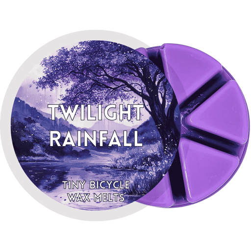 Twilight Rainfall Segment Wax Melt - Something Different Gift Shop