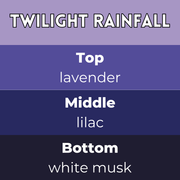 Twilight Rainfall Segment Wax Melt - Something Different Gift Shop