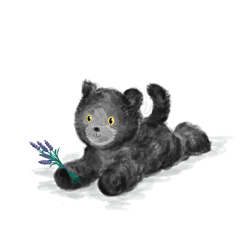 Warmies Black Cat Heatable Plush - Something Different Gift Shop