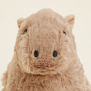 Close-up of the Warmies Capybara Plush Toy's face.