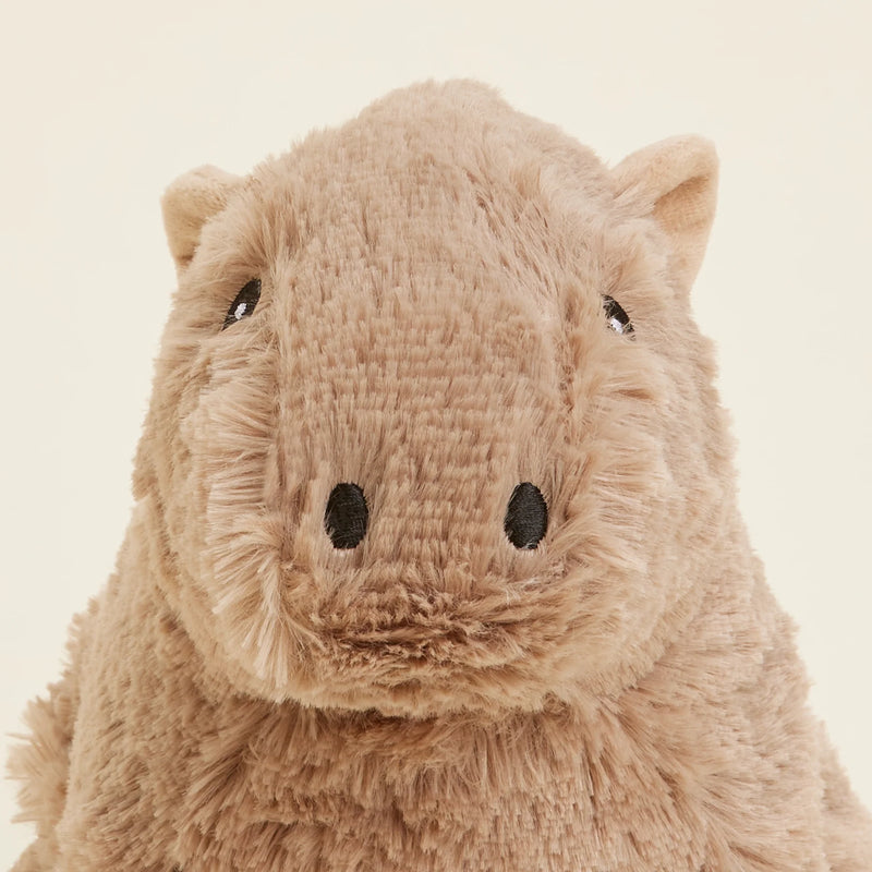 Close-up of the Warmies Capybara Plush Toy's face.
