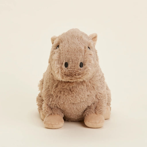 Front view of the Warmies Heatable Capybara Plush Toy.
