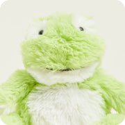 Close-up of Warmies Junior Frog plush toy smiling face