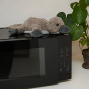 Warmies Junior Platypus plush toy resting on microwave