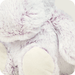Close-up of Warmies Marshmallow Hippo plush fur and paw detail