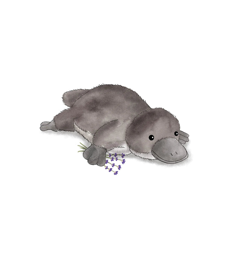 Warmies Platypus Heatable Plush - Something Different Gift Shop