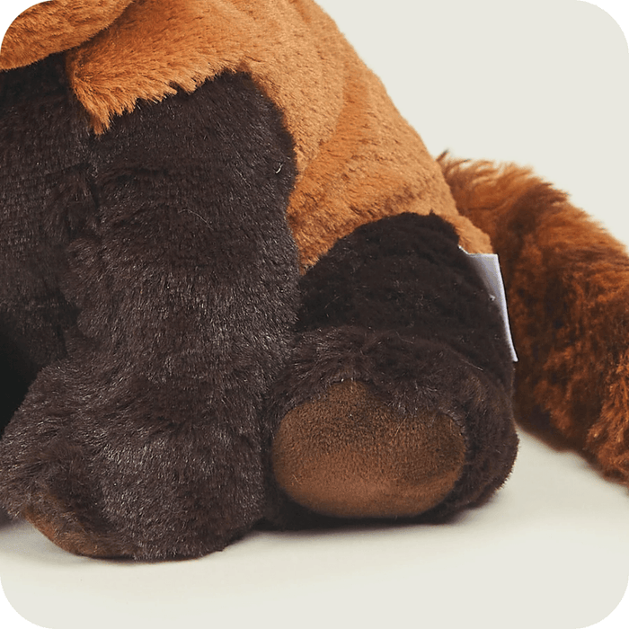 Close-up detail of Warmies Red Panda plush paw and body