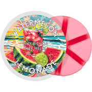 Watermelon Lemonade Segment Wax Melt - Something Different Gift Shop