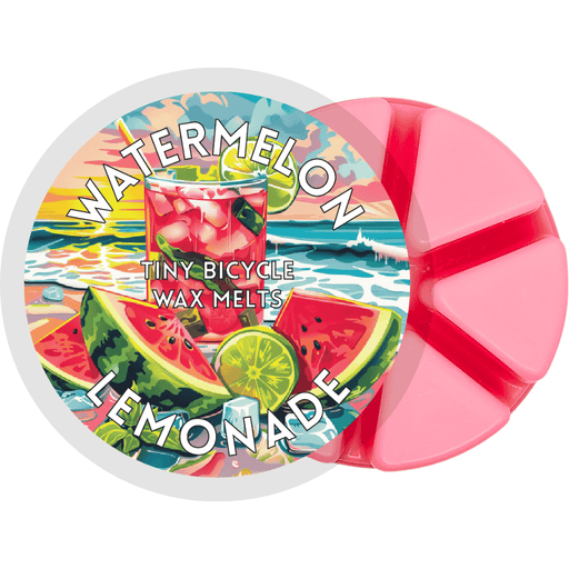 Watermelon Lemonade Segment Wax Melt - Something Different Gift Shop