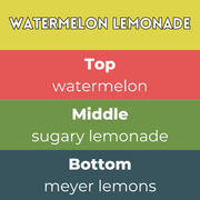 Watermelon Lemonade Segment Wax Melt - Something Different Gift Shop