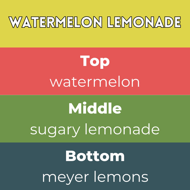 Watermelon Lemonade Segment Wax Melt - Something Different Gift Shop