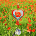 Poppy Rose Crystal Suncatcher among poppy field; vivid red flower inside heart, jewel-tone beads and 20 mm prism ready to scatter rainbows.

