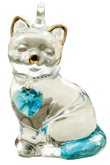 Wild Things Pretty Little Kitties - Aqua - Something Different Gift Shop