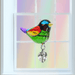 Rainbow crystal bird suncatcher hanging in a bright window, ready to cast rainbow light

