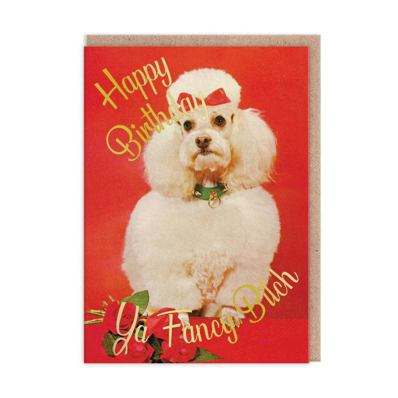 Funny dog birthday greeting card with gold foil text Happy Birthday Ya Fancy Bitch; white poodle on red; A6 with kraft envelope