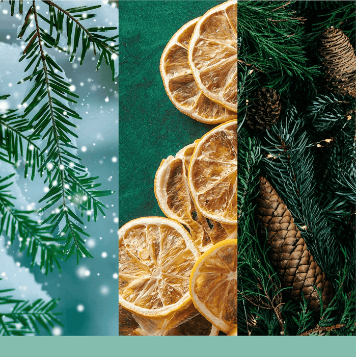 Fragrance notes for Holiday Winterfest: fresh pine, dried citrus slices and winter woods