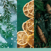 Fragrance notes for Holiday Winterfest: fresh pine, dried citrus slices and winter woods