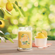 Yankee Candle Signature Large Jar Candle - Lemon Gelato - Something Different Gift Shop