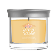 Yankee Candle Slopeside Spritz small tumbler with silver lid, clean product packshot