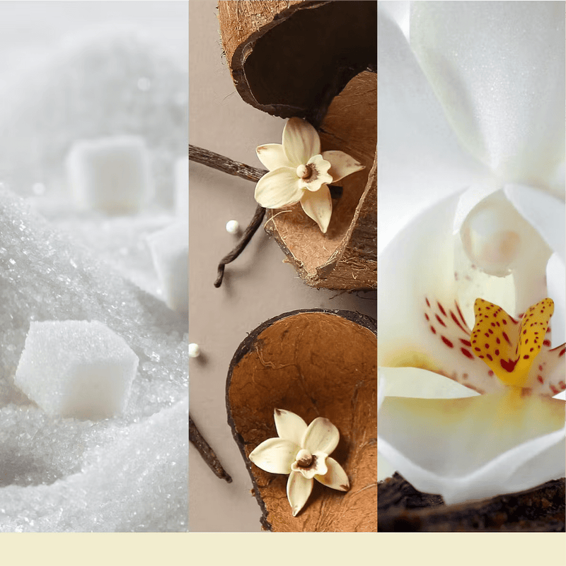 Vanilla Flurries fragrance notes: sugar crystals, vanilla pods and white orchid