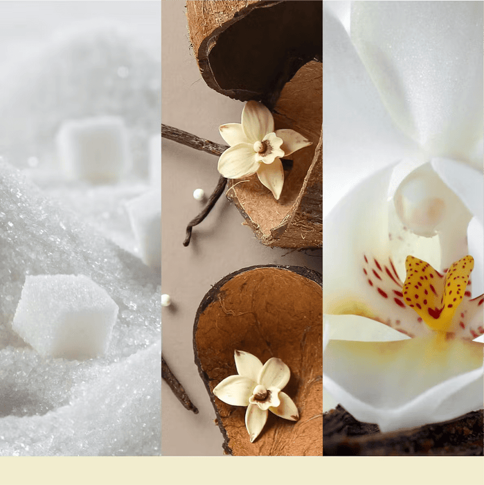 Vanilla Flurries fragrance notes: sugar crystals, vanilla pods and white orchid