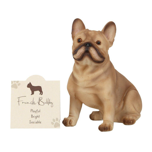 Animal Ornament - French Bull Dog - Something Different Gift Shop