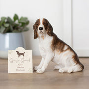 Animal Ornament - Springer Spaniel - Something Different Gift Shop