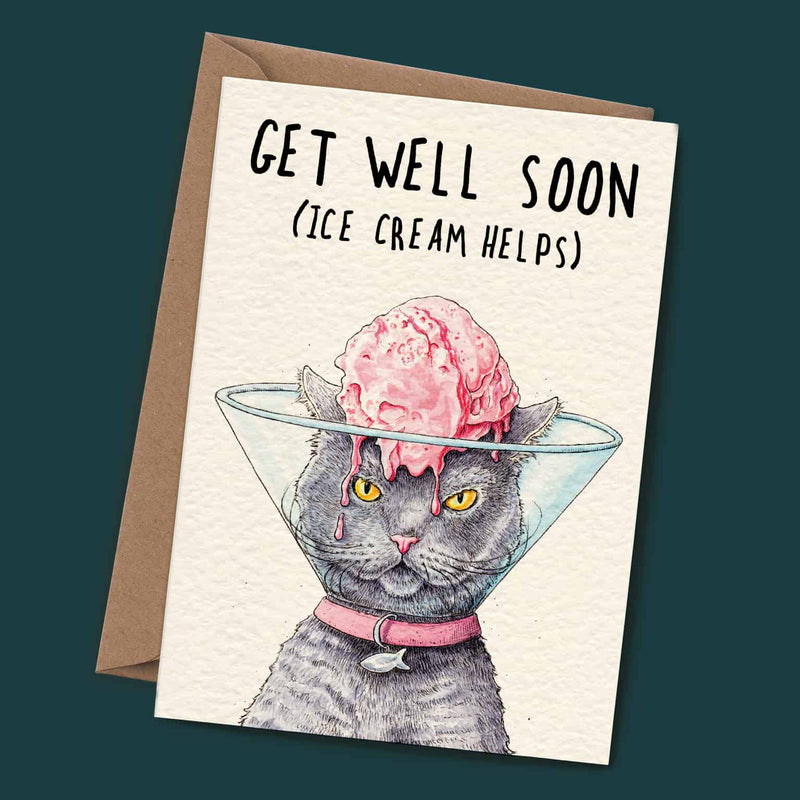 Bewilderbeest - Cat Cone - Something Different Gift Shop