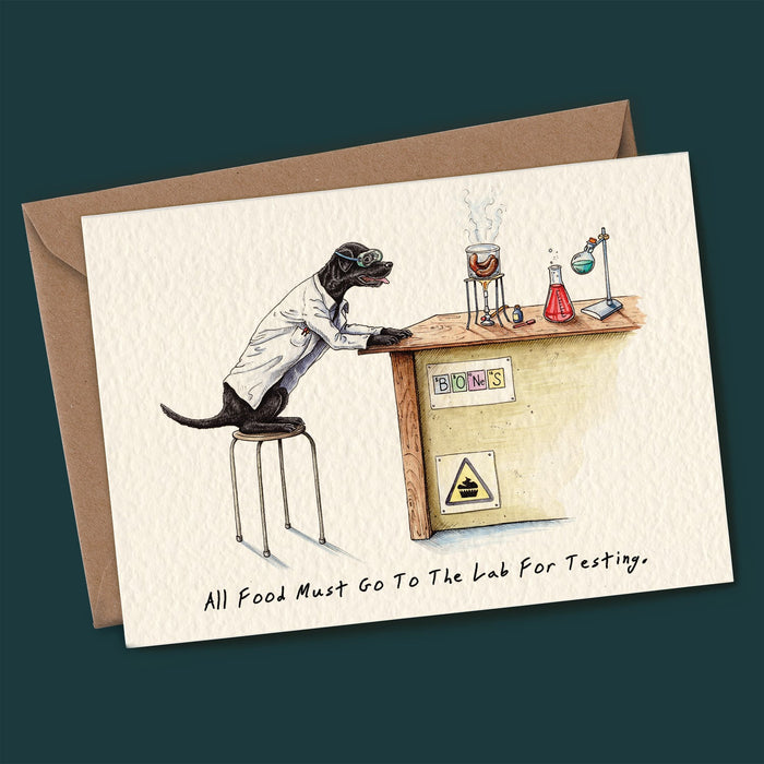Bewilderbeest - Lab Testing - Something Different Gift Shop