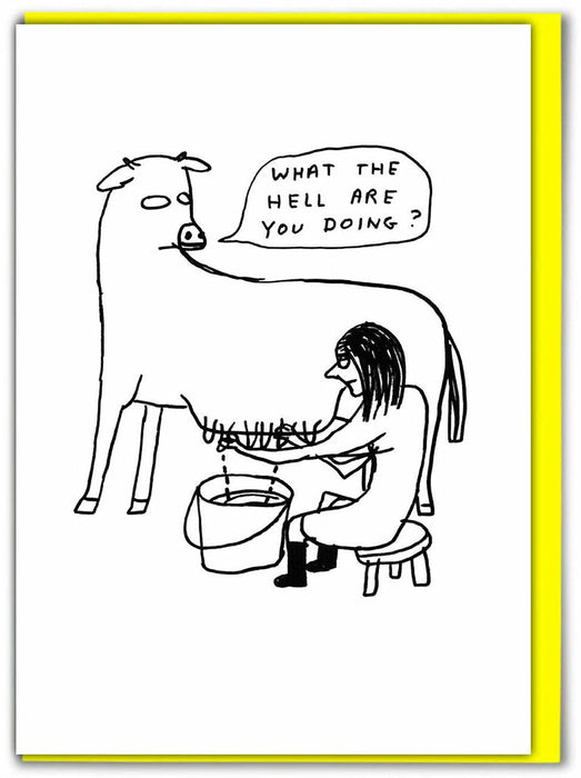 David Shrigley - What The Hell - Something Different Gift Shop