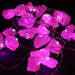 Gemstone Enchantment Lights - Rose Quartz - Something Different Gift Shop