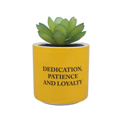 Harry Potter Faux Plant Pot - Hufflepuff - Something Different Gift Shop