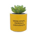 Harry Potter Faux Plant Pot - Hufflepuff - Something Different Gift Shop