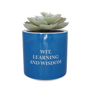 Harry Potter Faux Plant Pot - Ravenclaw - Something Different Gift Shop