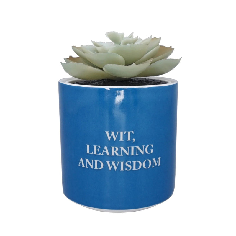 Harry Potter Faux Plant Pot - Ravenclaw - Something Different Gift Shop
