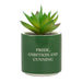 Harry Potter Faux Plant Pot - Slytherin - Something Different Gift Shop