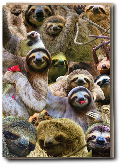 Herd - Sloth Party - Something Different Gift Shop