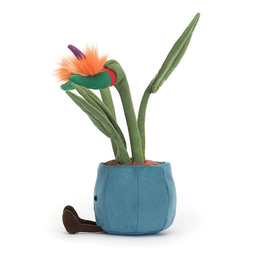 Jellycat Amuseable Bird Of Paradise - Something Different Gift Shop